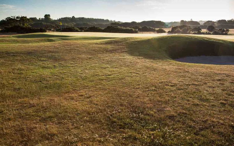 5th green over bunker